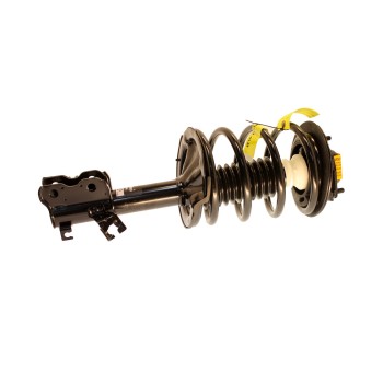 Suspension Strut and Coil Spring Assembly