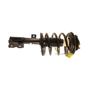 Suspension Strut and Coil Spring Assembly
