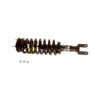 Suspension Strut and Coil Spring Assembly