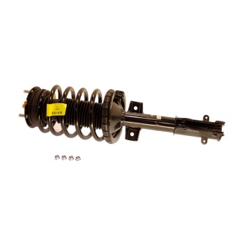Suspension Strut and Coil Spring Assembly
