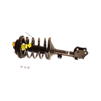 Suspension Strut and Coil Spring Assembly