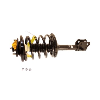 Suspension Strut and Coil Spring Assembly