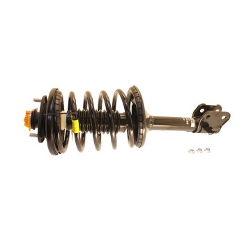 Suspension Strut and Coil Spring Assembly
