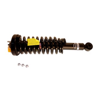 Suspension Strut and Coil Spring Assembly