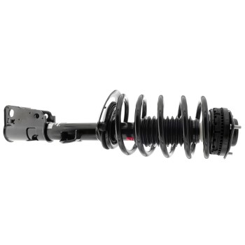 Suspension Strut and Coil Spring Assembly