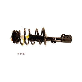 Suspension Strut and Coil Spring Assembly