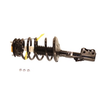 Suspension Strut and Coil Spring Assembly