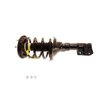 Suspension Strut and Coil Spring Assembly