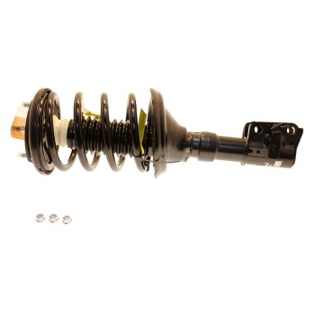 Suspension Strut and Coil Spring Assembly