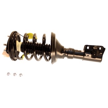 Suspension Strut and Coil Spring Assembly
