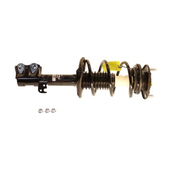 Suspension Strut and Coil Spring Assembly