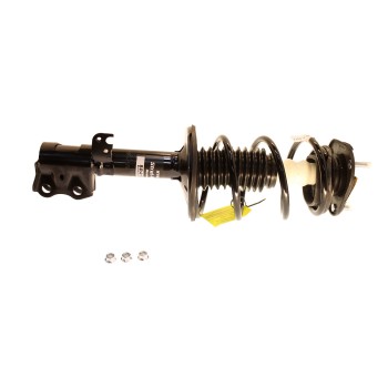 Suspension Strut and Coil Spring Assembly