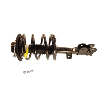 Suspension Strut and Coil Spring Assembly