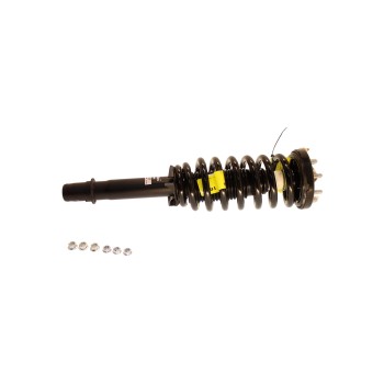 Suspension Strut and Coil Spring Assembly