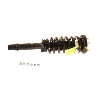 Suspension Strut and Coil Spring Assembly