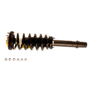 Suspension Strut and Coil Spring Assembly