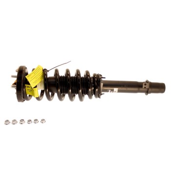 Suspension Strut and Coil Spring Assembly