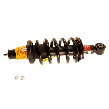 Suspension Strut and Coil Spring Assembly