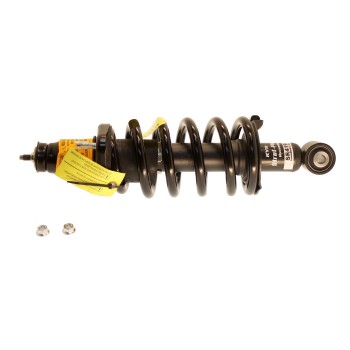 Suspension Strut and Coil Spring Assembly