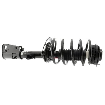 Suspension Strut and Coil Spring Assembly