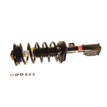Suspension Strut and Coil Spring Assembly