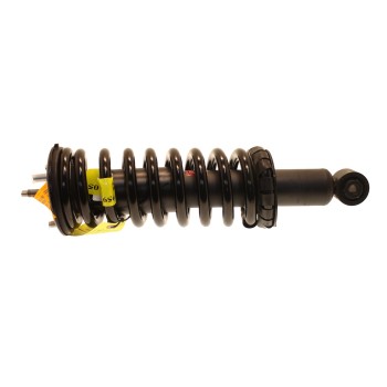 Suspension Strut and Coil Spring Assembly