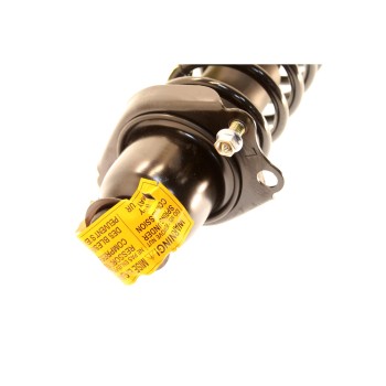 Suspension Strut and Coil Spring Assembly