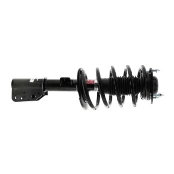 Suspension Strut and Coil Spring Assembly