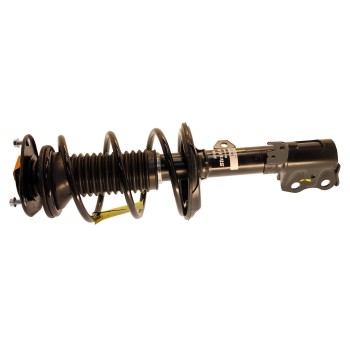 Suspension Strut and Coil Spring Assembly
