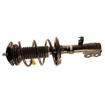Suspension Strut and Coil Spring Assembly