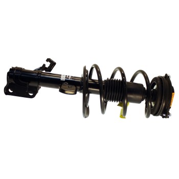 Suspension Strut and Coil Spring Assembly