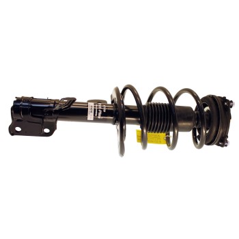 Suspension Strut and Coil Spring Assembly