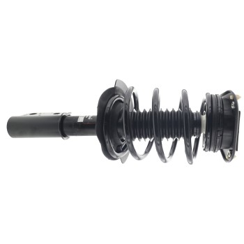 Suspension Strut and Coil Spring Assembly