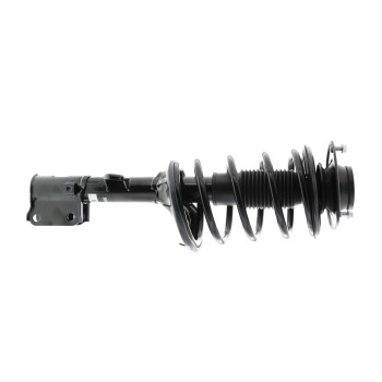 Suspension Strut and Coil Spring Assembly