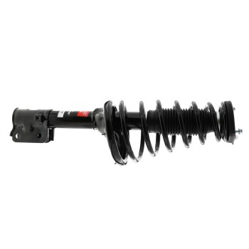 Suspension Strut and Coil Spring Assembly