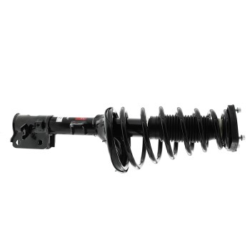Suspension Strut and Coil Spring Assembly