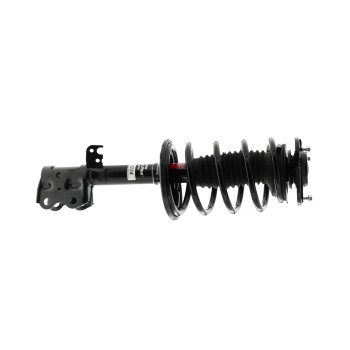 Suspension Strut and Coil Spring Assembly