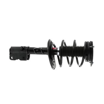 Suspension Strut and Coil Spring Assembly