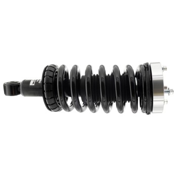 Suspension Strut and Coil Spring Assembly