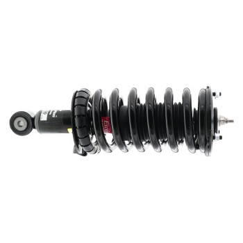 Suspension Strut and Coil Spring Assembly