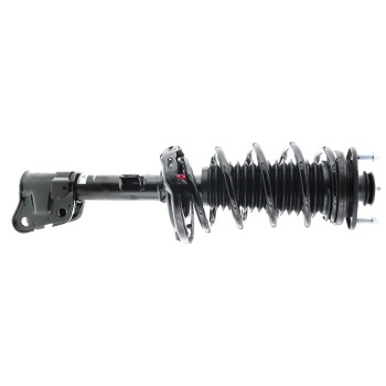 Suspension Strut and Coil Spring Assembly