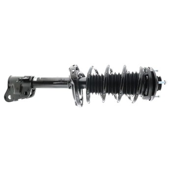 Suspension Strut and Coil Spring Assembly