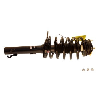 Suspension Strut and Coil Spring Assembly