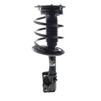 Suspension Strut and Coil Spring Assembly