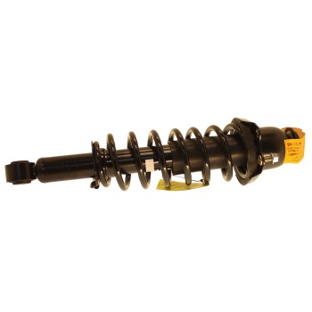 Suspension Strut and Coil Spring Assembly