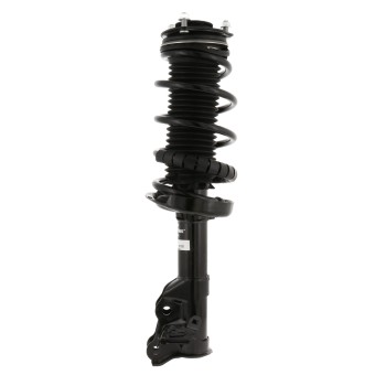 Suspension Strut and Coil Spring Assembly