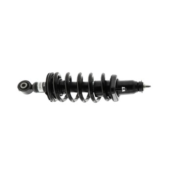Suspension Strut and Coil Spring Assembly
