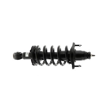 Suspension Strut and Coil Spring Assembly