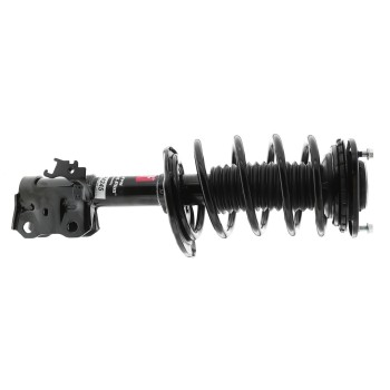 Suspension Strut and Coil Spring Assembly
