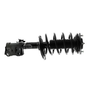 Suspension Strut and Coil Spring Assembly